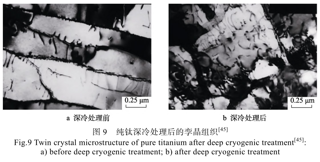 1728826560235839.jpg t9.jpg