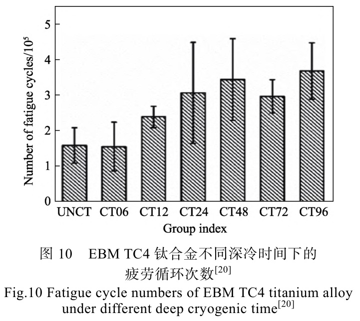 1728826568933187.jpg t10.jpg