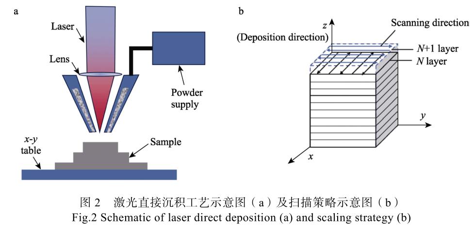 1728828679790488.jpg t2.jpg