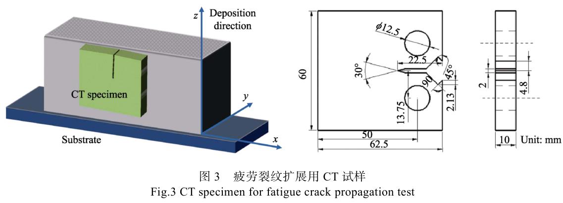 1728828688910283.jpg t3.jpg