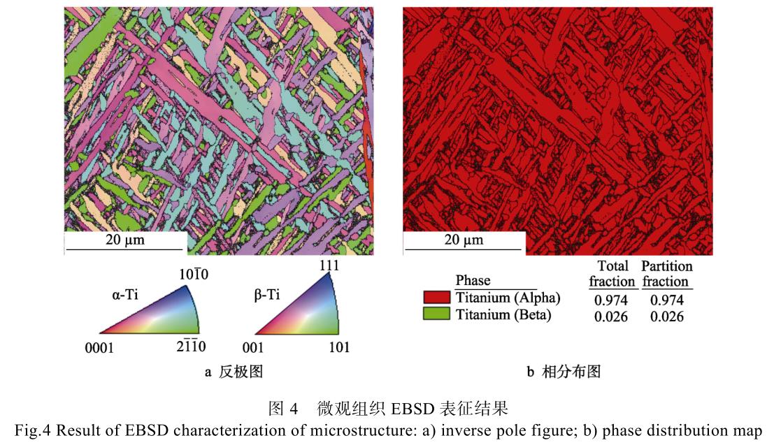 1728828703531293.jpg t4.jpg