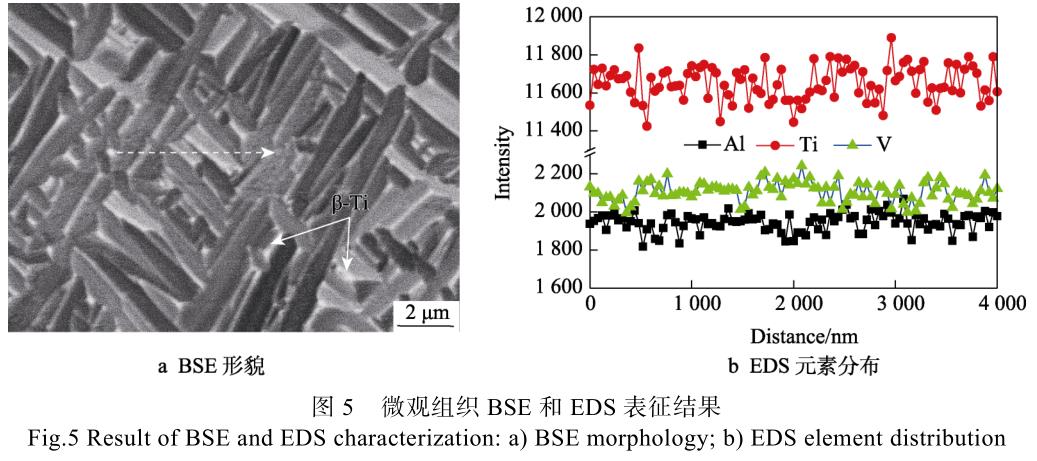 1728828714437981.jpg t5.jpg