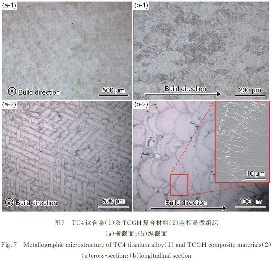 1730793495711924.png 7.png