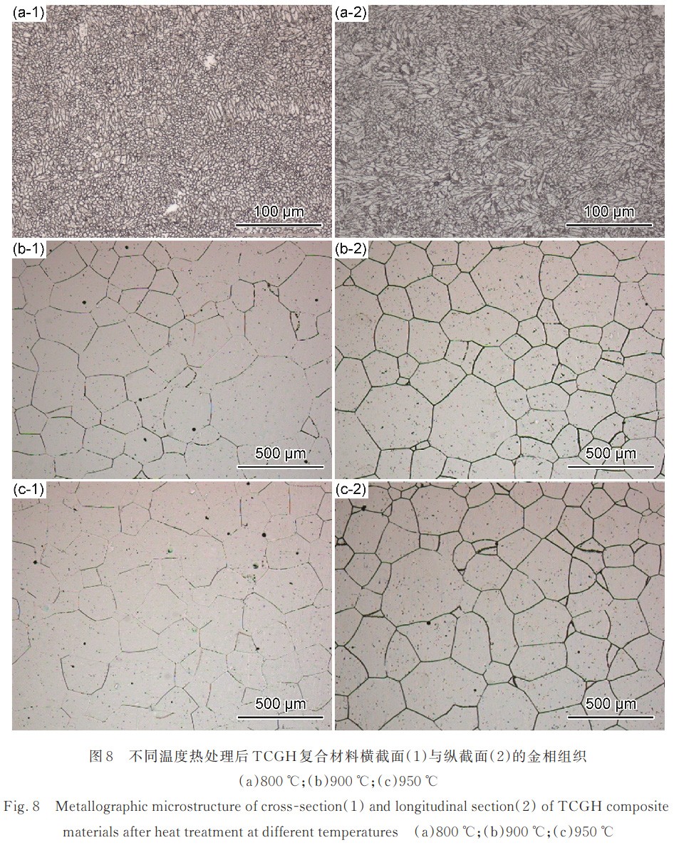 1730793519664934.jpg 8.jpg