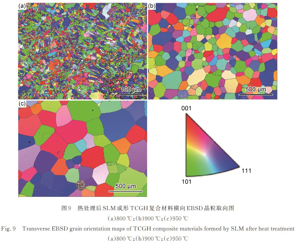 1730793528707152.jpg 9.jpg