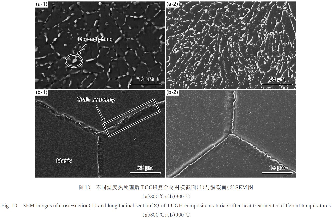 1730793537400853.jpg 10.jpg