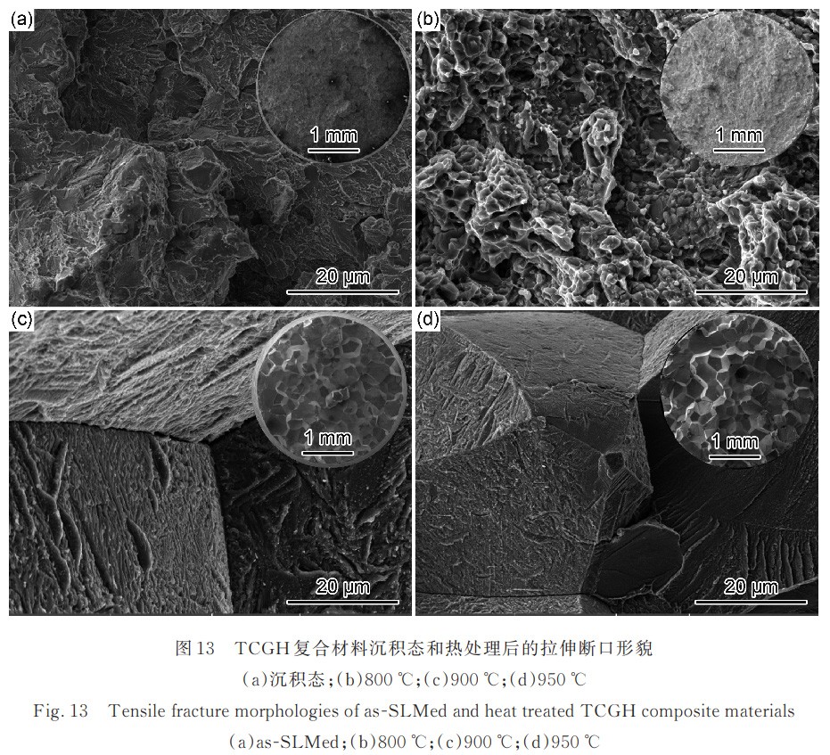 1730793571635226.jpg 13.jpg