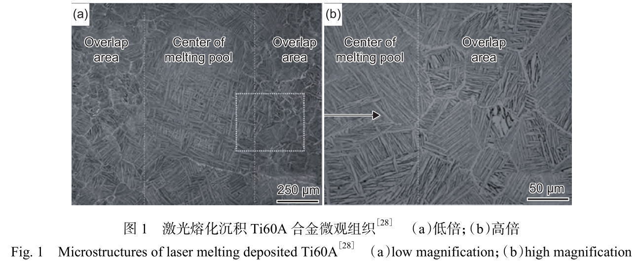 1730879979918902.jpg 1.jpg