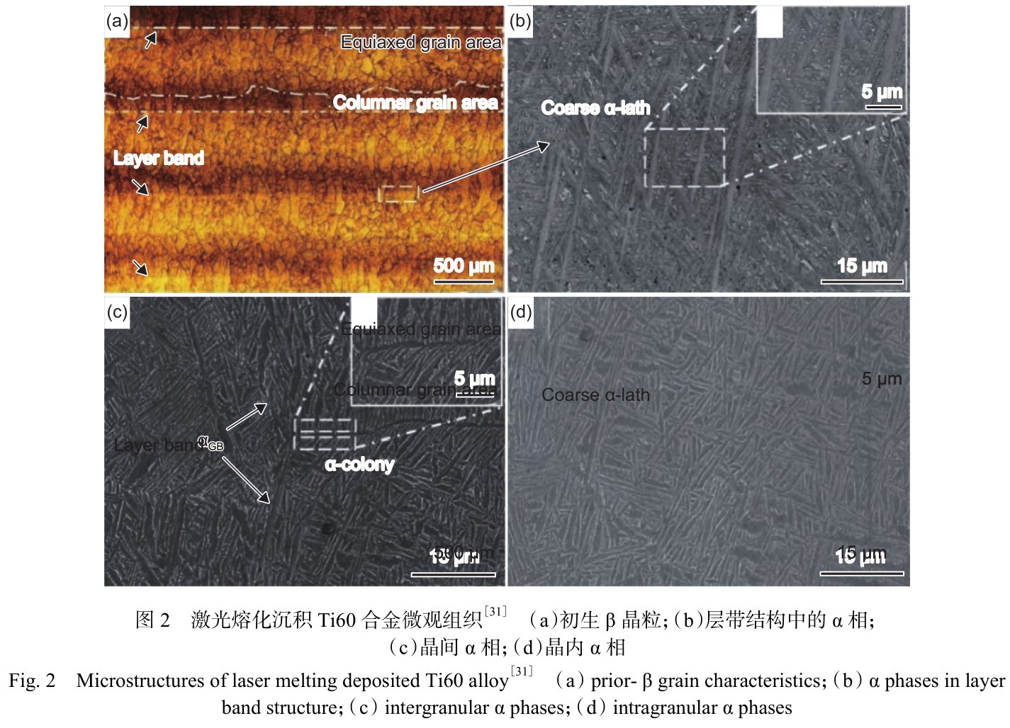 1730879989494540.jpg 2.jpg