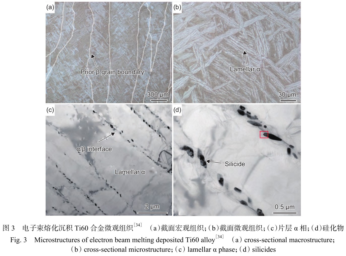 1730880005464133.jpg 3.jpg