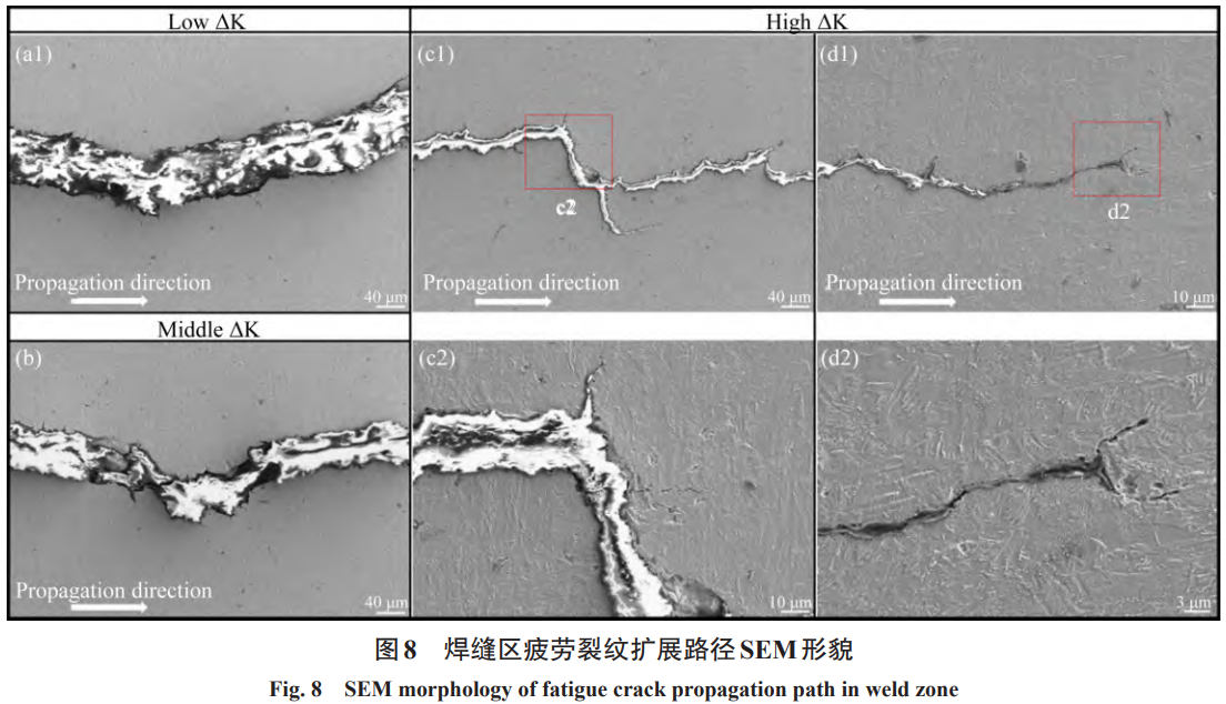 1731057056820233.png 8.png