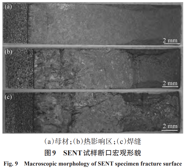 1731057065998566.png 9.png