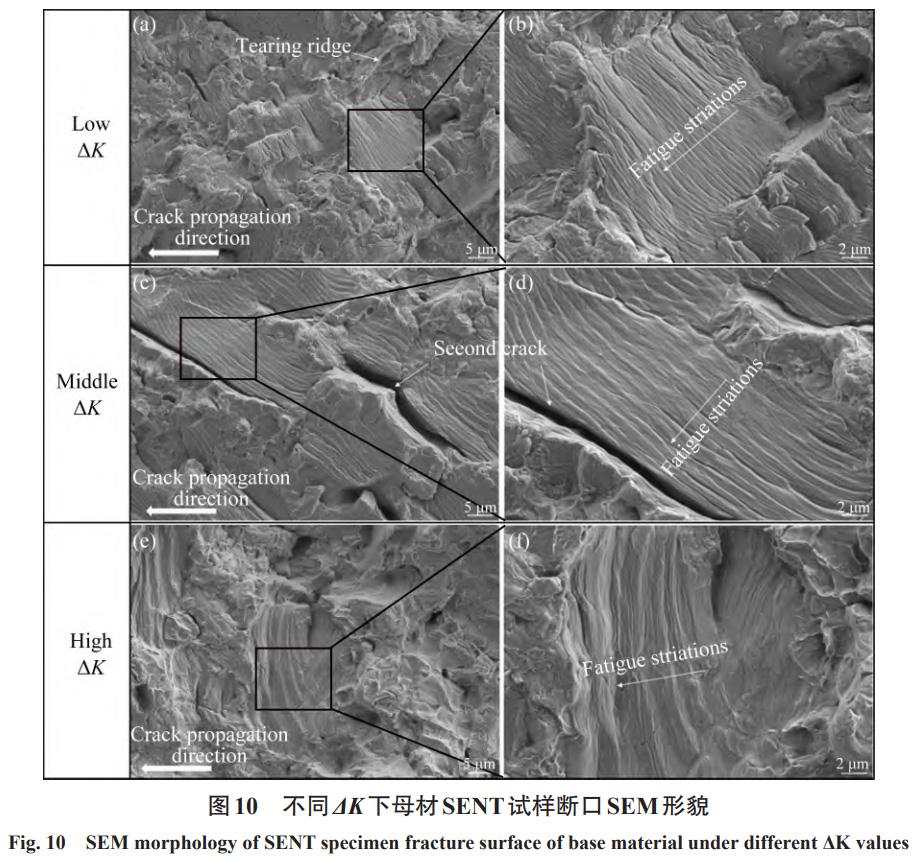 1731057074616940.jpg 10.jpg