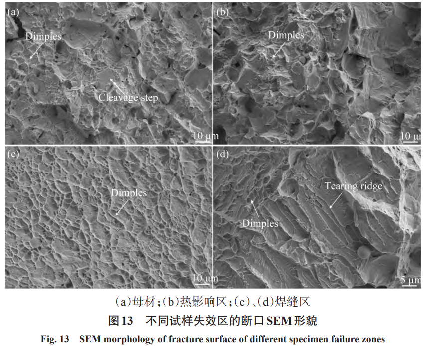 1731057097912224.jpg 13.jpg