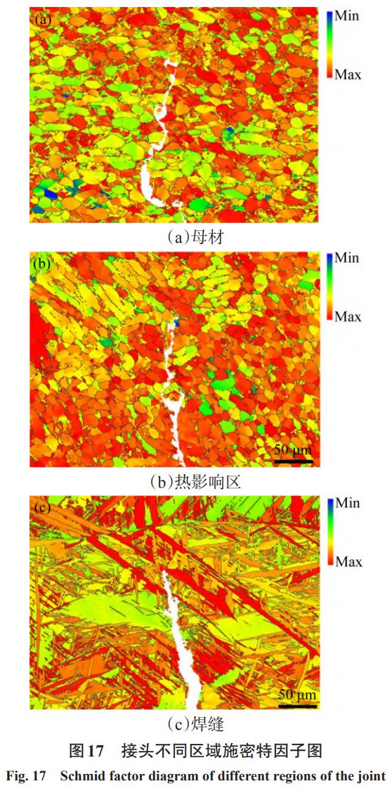 1731057136828321.jpg 17.jpg