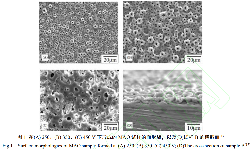 1738675258583646.png 1.png